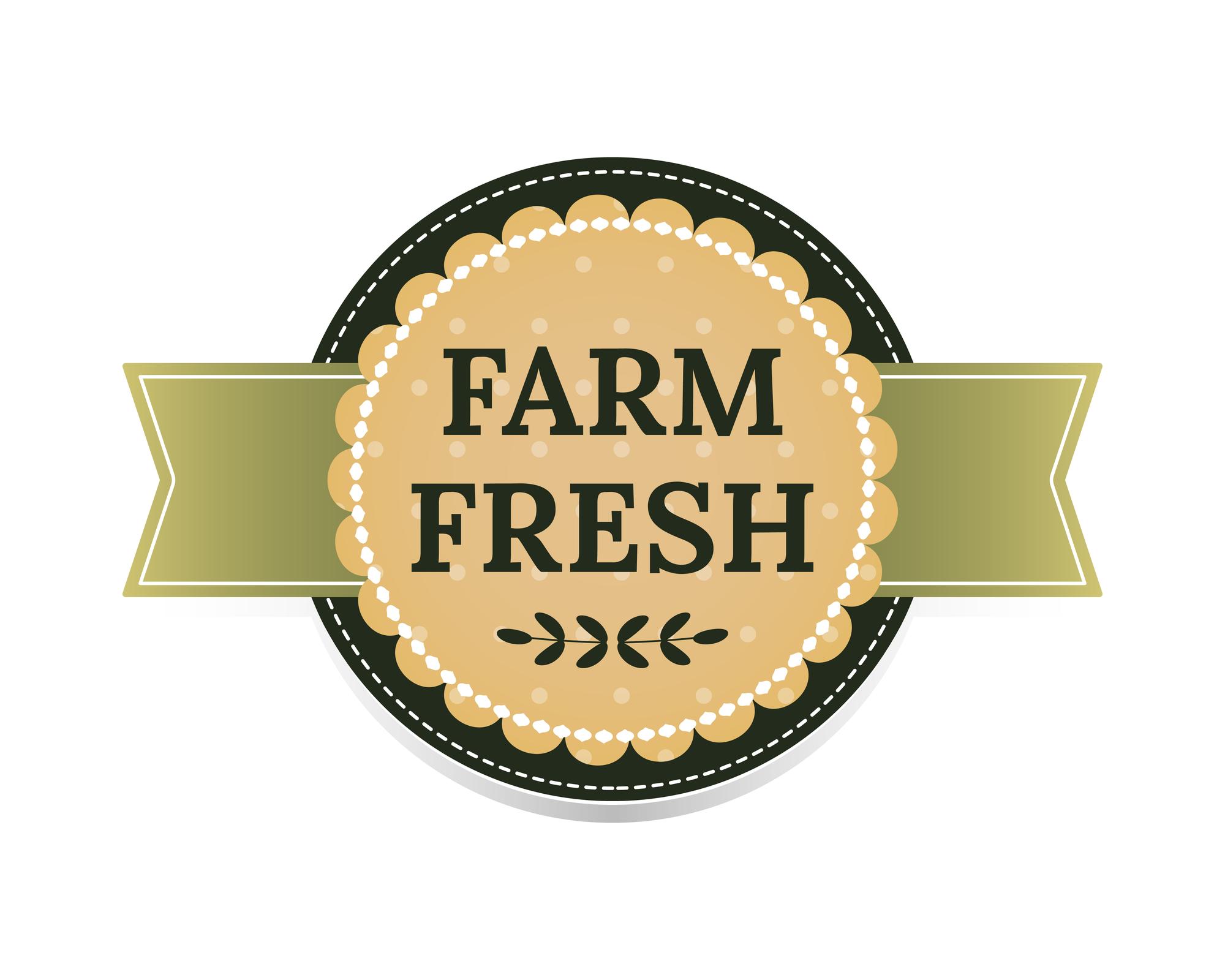 Small dairy partner